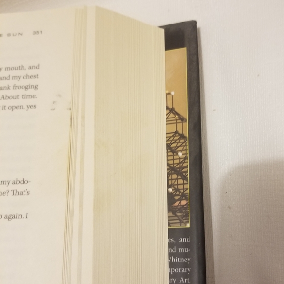 Brian D'Amato's bk In the Courts of the Sun- stained - Picture 7 of 7